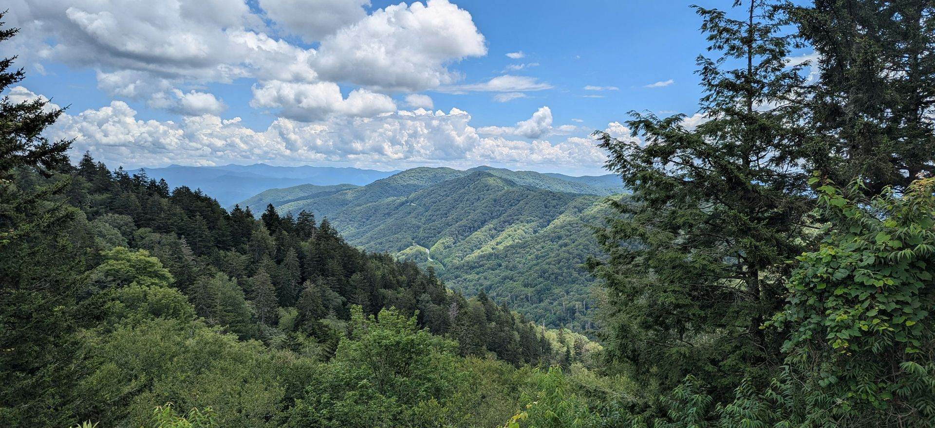 Layered blue ridgelines of the Great Smoky Mountains